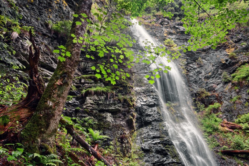 Ukraine, Zakarpattia, Rakhiv district, Carpathians, Scenic view of waterfall