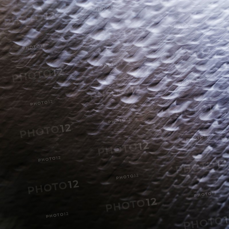 Water droplets