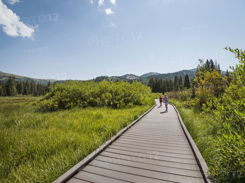 Children (4-5) walking on boardwalk