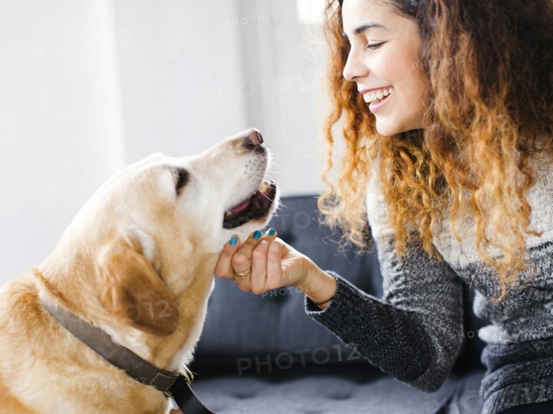 Smiling woman stroking dog in living room