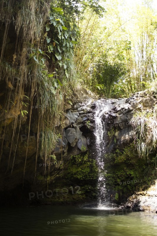 Caribbean Islands, Saint Lucia, Waterfall in forest