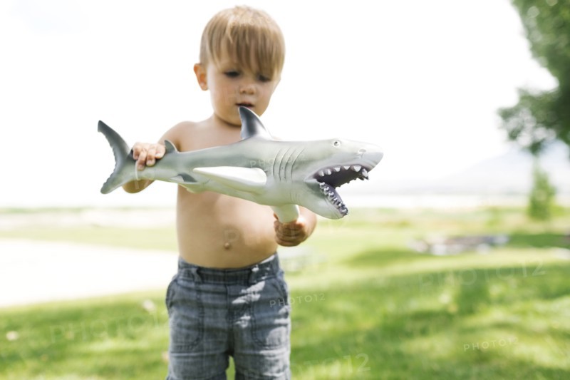 Boy (2-3) playing with toy shark