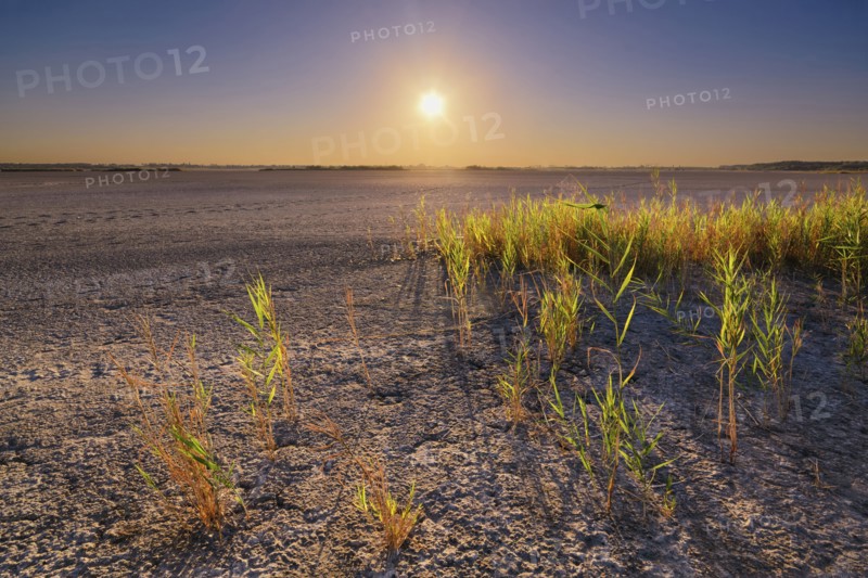 Ukraine, Dnepropetrovsk Region, Novomoskovskiy District, Lake Soleniy Lyman, Desert at sunset