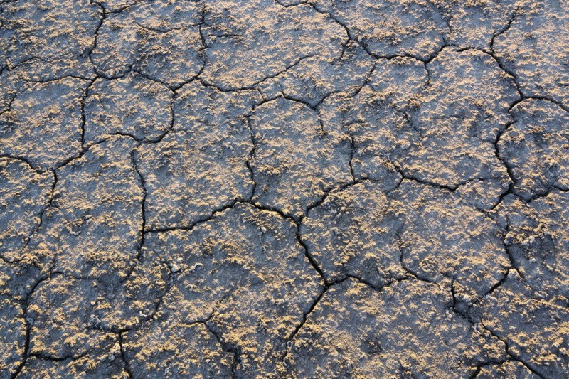 Overhead view of cracked desert
