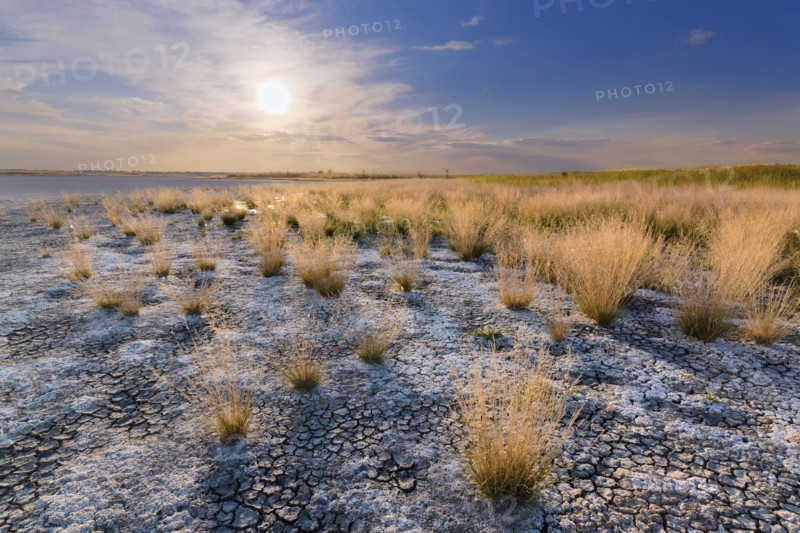 Ukraine, Dnepropetrovsk Region, Novomoskovskiy District, Lake Soleniy Lyman, Desert at sunset