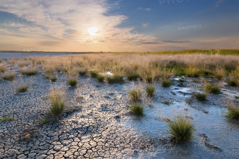 Ukraine, Dnepropetrovsk Region, Novomoskovskiy District, Lake Soleniy Lyman, Desert at sunset