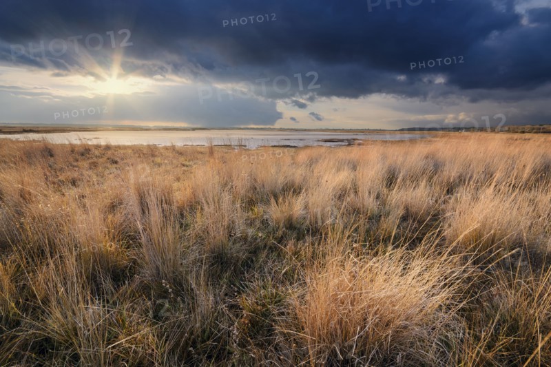 Ukraine, Dnepropetrovsk Region, Novomoskovskiy District, Grassy shore by Lake Soleniy Lyman at sunset