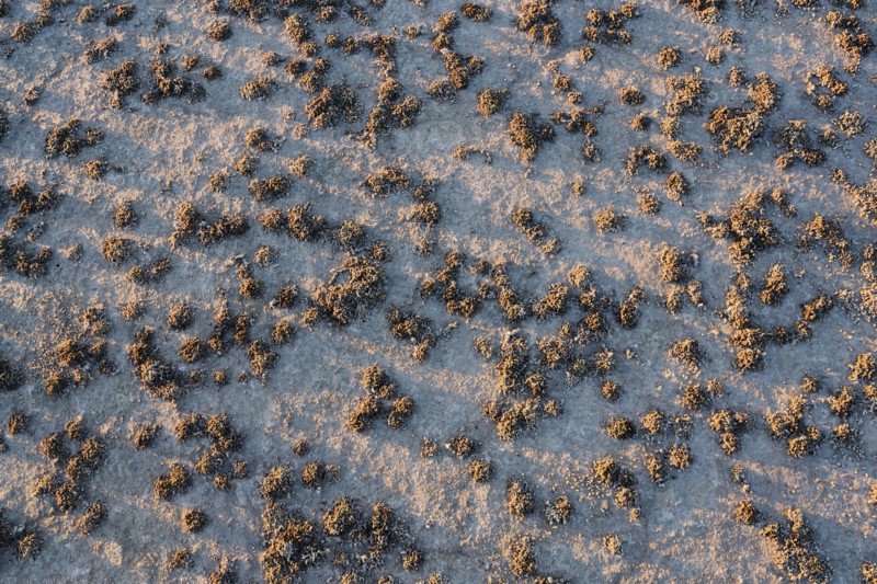 Aerial view of desert