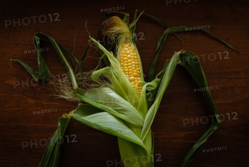 Fresh corn on wooden table