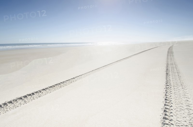 Tire tracks on empty beach