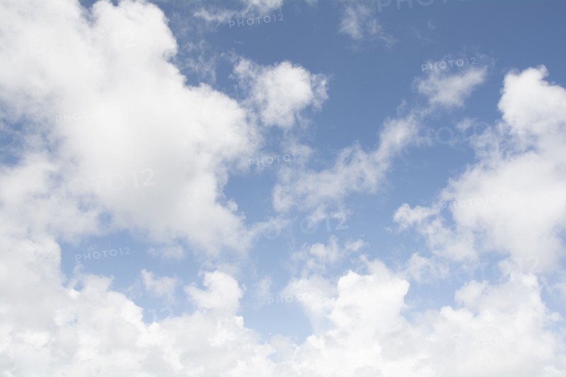 Cumulus cloudscape