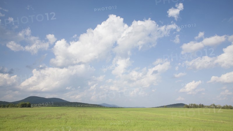USA, New York State, Gabriels, Hay field in Northern Adirondacks