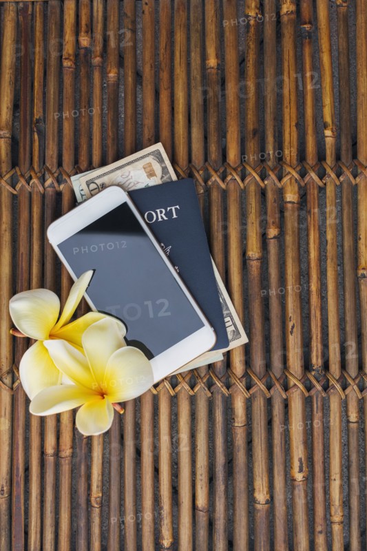 Passport with American money, smart phone and yellow plumeria flowers on bamboo mat