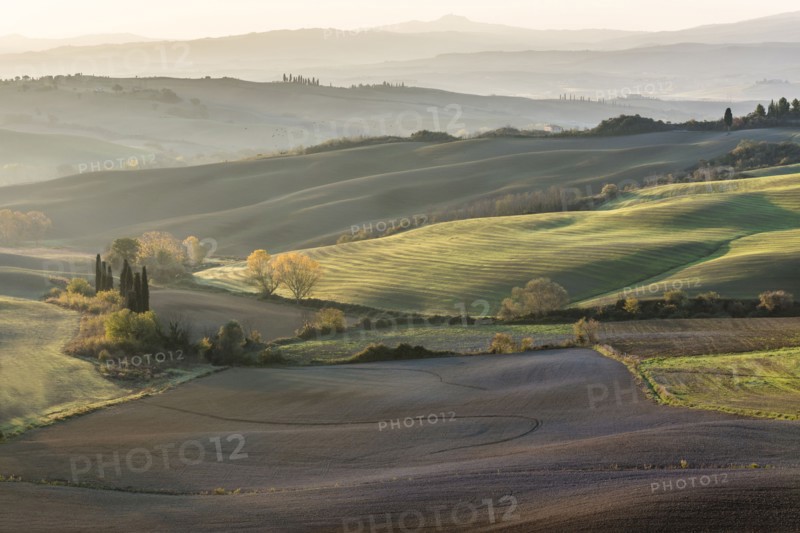 Italy, Tuscany, San Quirico D'orcia, Rolling landscape with autumn trees and plants