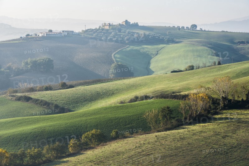 Italy, Tuscany, Castiglione D'orcia, Rolling landscape with autumn trees and plants