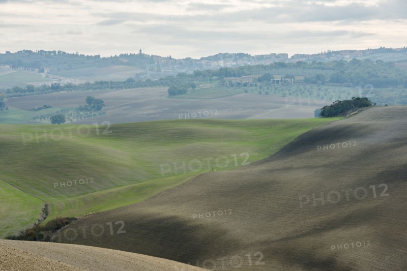 Italy, Tuscany, San Quirico D'orcia, Smooth hills and distant olive gardens on cloudy day