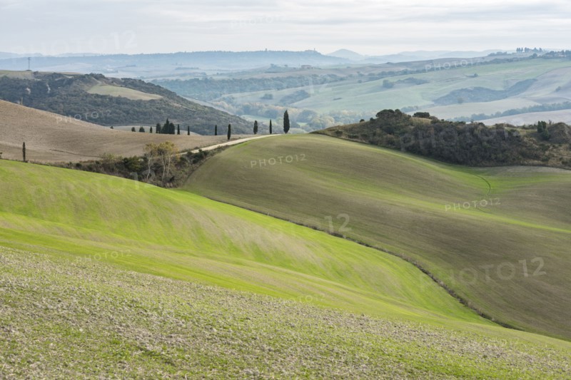 Italy, Tuscany, San Quirico D'orcia, Hills and distant forests on cloudy day