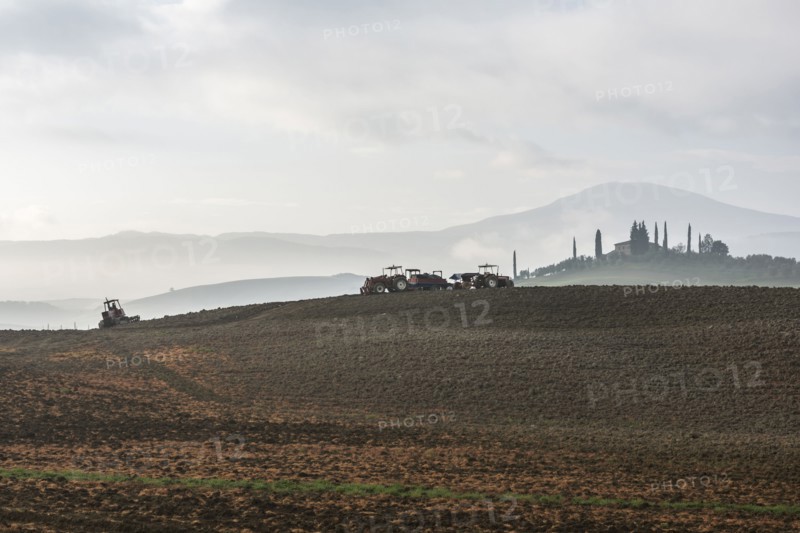 Italy, Tuscany, Castiglione D'orcia, Tractors on gray plowed land and distant cypress trees around villa disappearing in fog