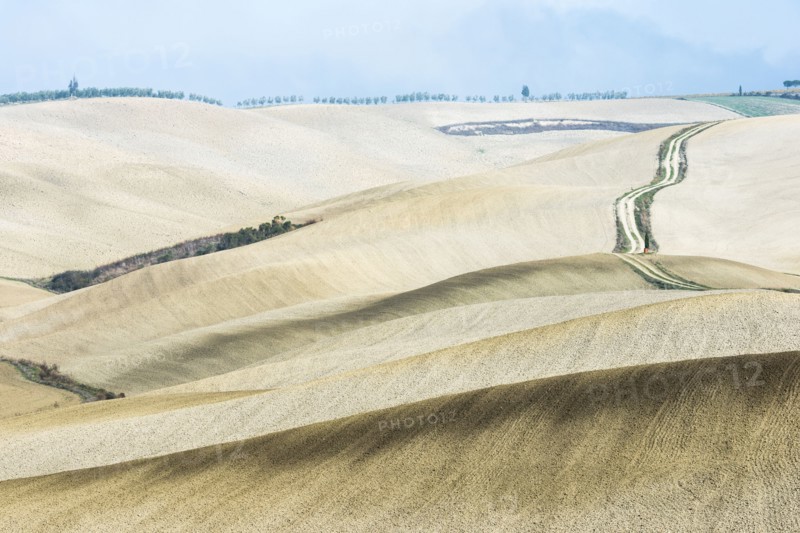 Italy, Tuscany, San Quirico D'orcia, Long twisting rural road leading through endless fields