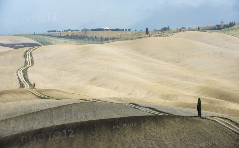 Italy, Tuscany, San Quirico D'orcia, Long twisting rural road leading through endless fields and lonely cypress tree