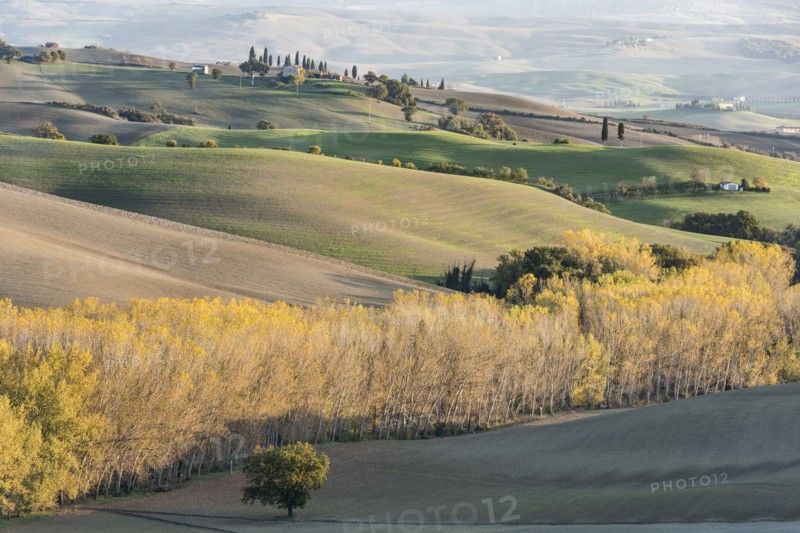 Italy, Tuscany, San Quirico D'orcia, Hills of cultivated land and autumn yellow forests illuminated by setting sun