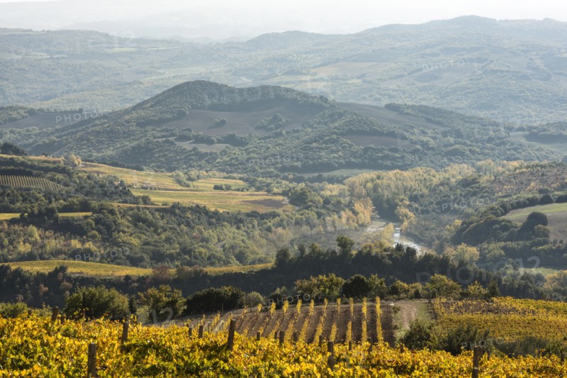 Italy, Tuscany, Ciacci Piccolomini D'Aragona, Landscape with hills covered by autumn trees, river and small vineyard