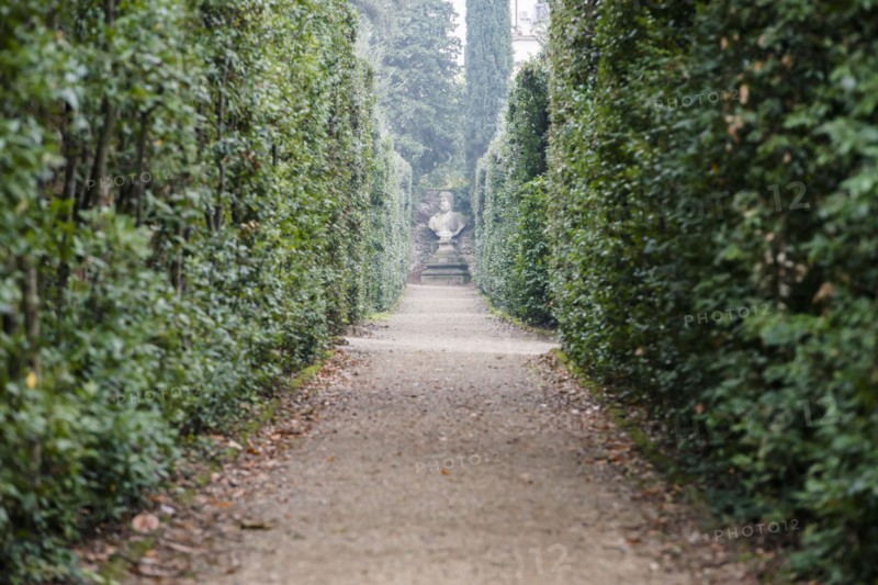 Italy, Tuscany, Florence, Footpath in Boboli gardens