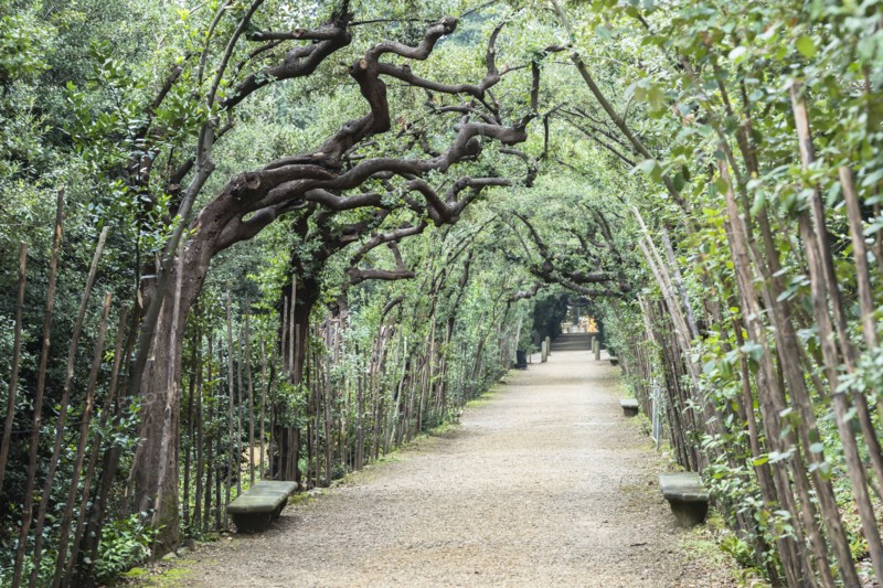 Italy, Tuscany, Florence, Footpath in Boboli gardens