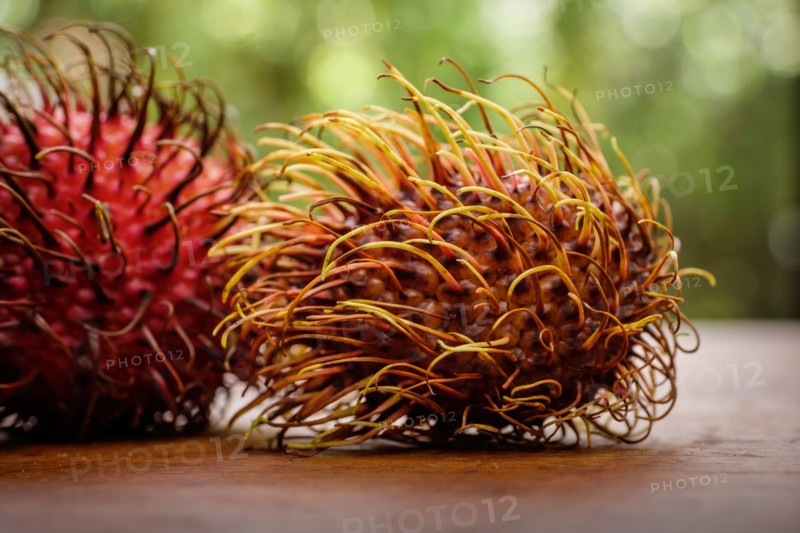 Lychee covered with spiked shell on table