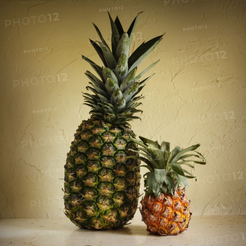 Fresh and rotting pineapples against yellow wall