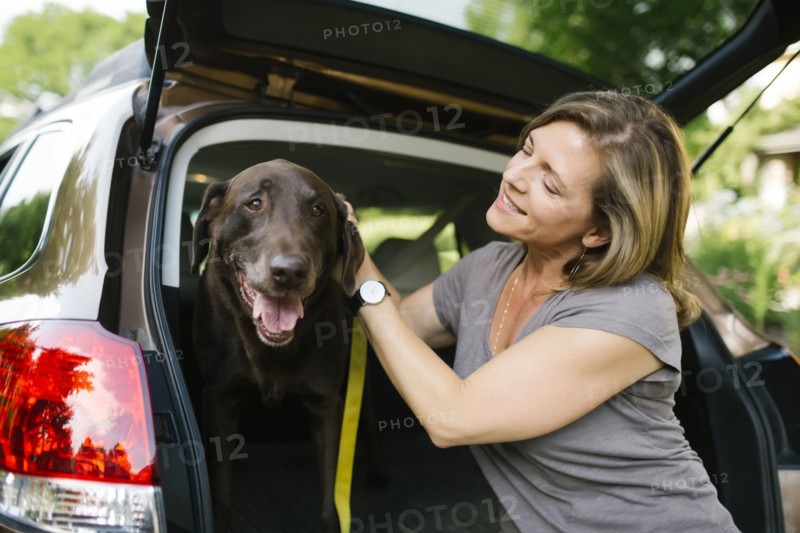 Woman with Labrador Retriever on leash in car trunk