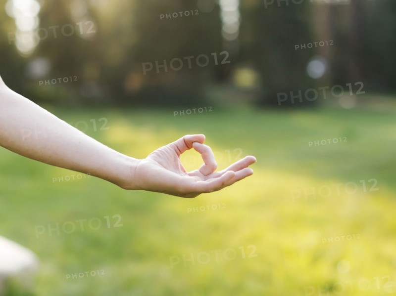 Hand of woman practicing yoga in forest
