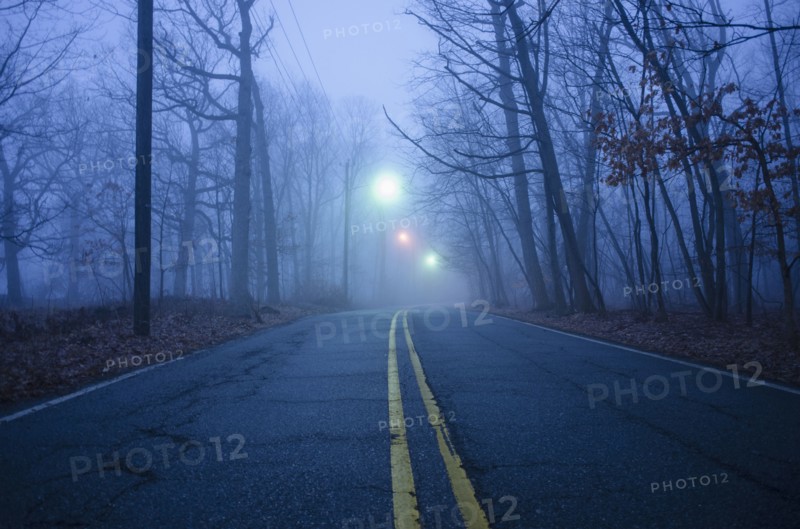 USA, New Jersey, Empty road at dawn