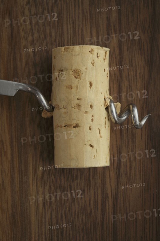 Corkscrew with cork