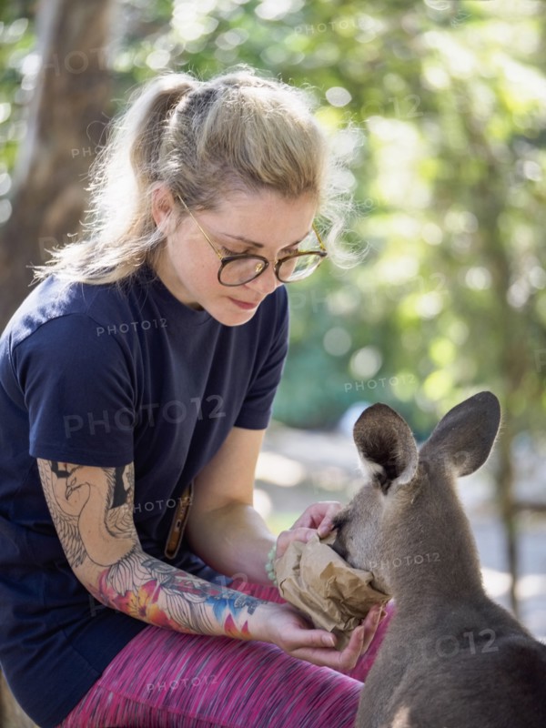 Young woman feeding Eastern grey kangaroo (Macropus giganteus)