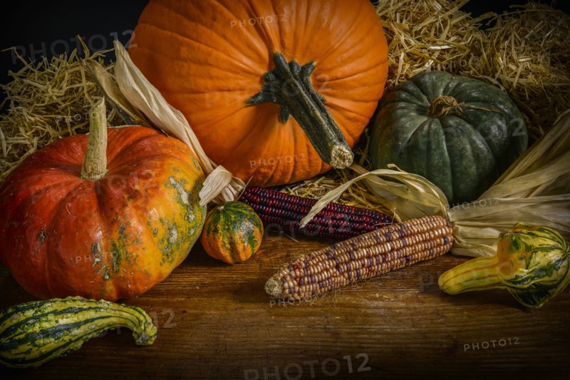 Halloween pumpkins and gourd