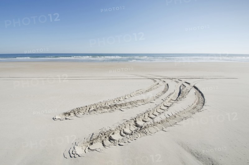Car tire trail on sand