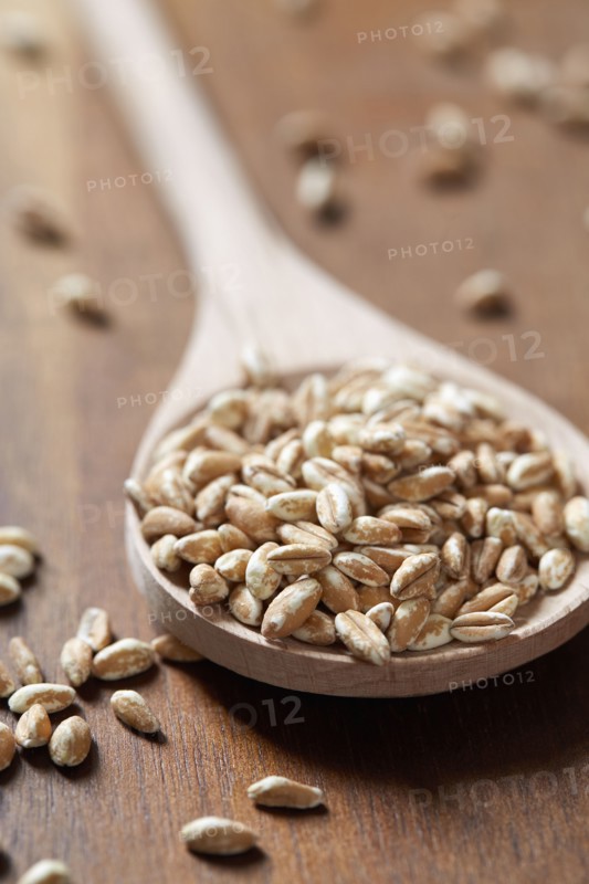 Spoon full of farro