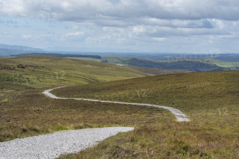 Ireland, Cavan County, Cuilcagh Mountain Park, Winding road