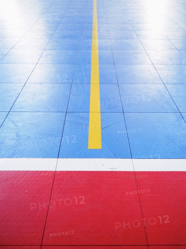 Red and blue tiled floor of basketball court