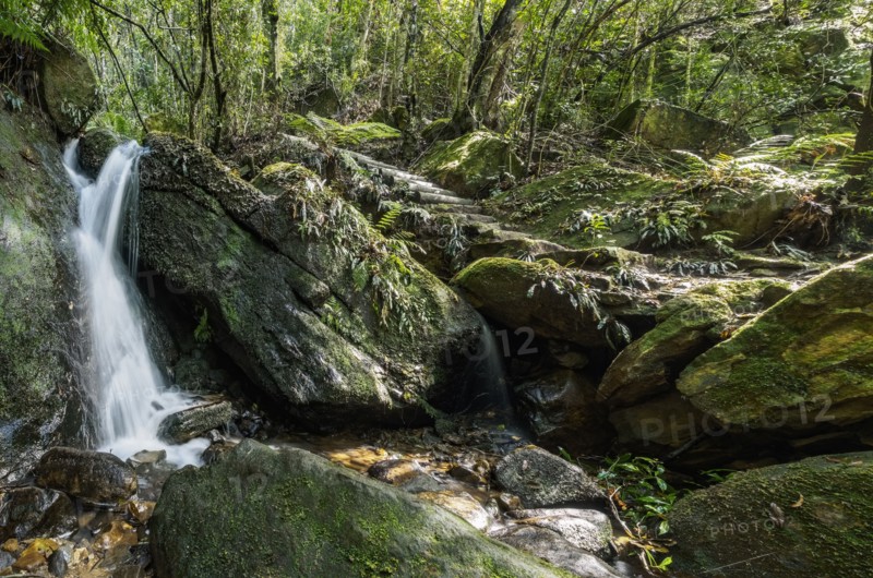 Waterfall in forest