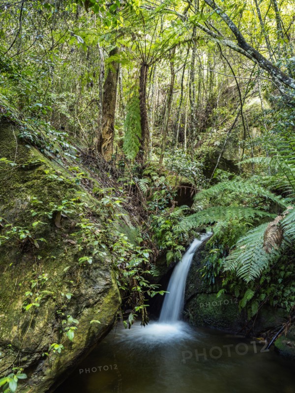 Waterfall in forest