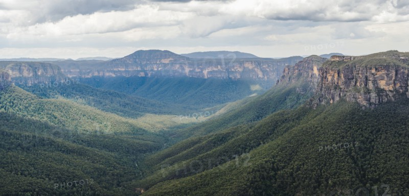 Canyon overgrown by forest