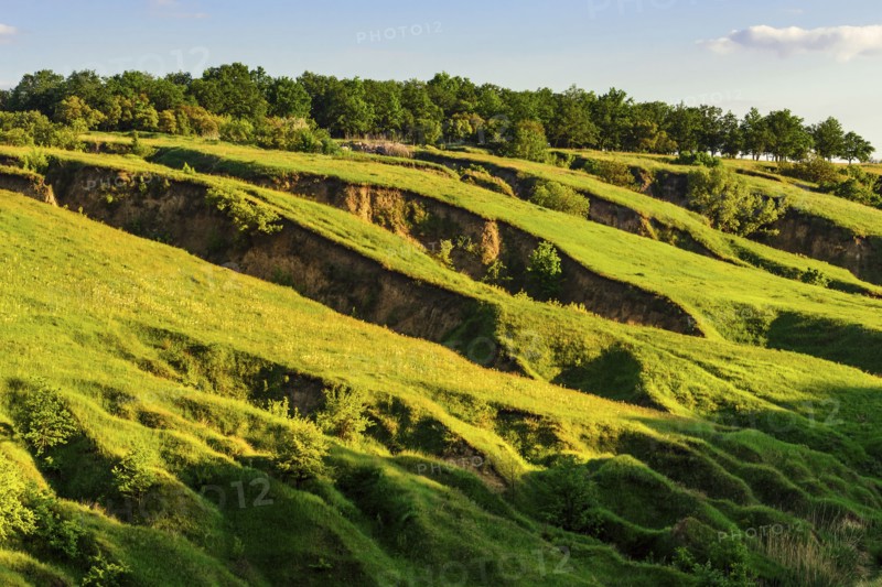 Ukraine, Dnepropetrovsk region, Dnepropetrovsk city, Green landscape formed by geological erosion