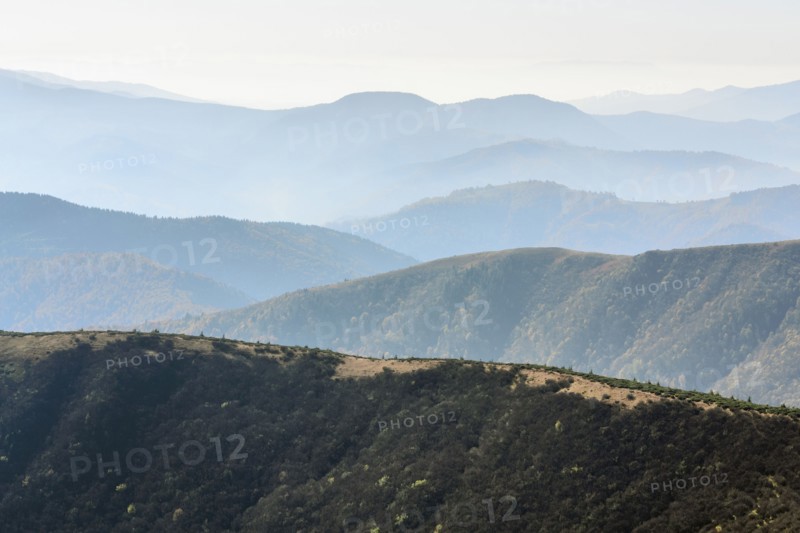 Ukraine, Zakarpattia region, Rakhiv district, Carpathians, Chornohora, Mountain landscape with mist