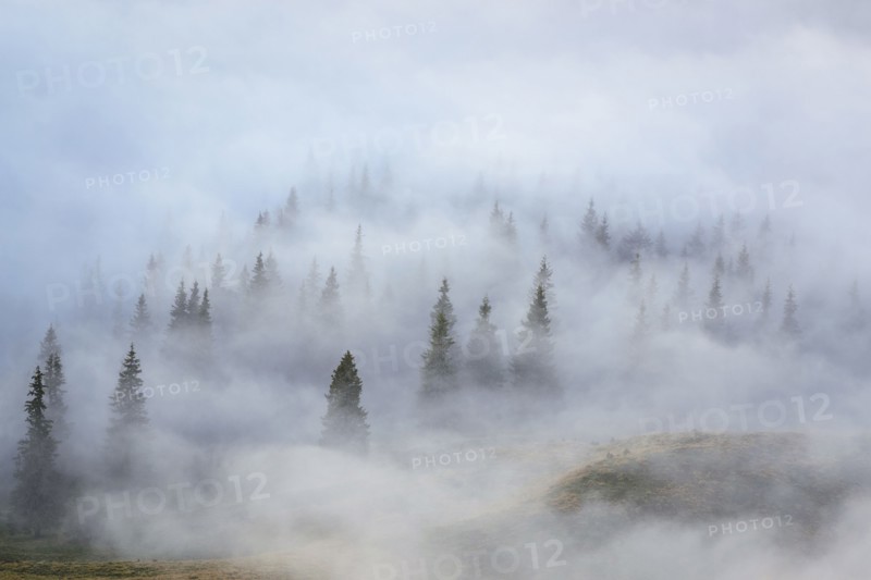 Ukraine, Zakarpattia region, Rakhiv district, Carpathians, Chornohora, mountain Petros