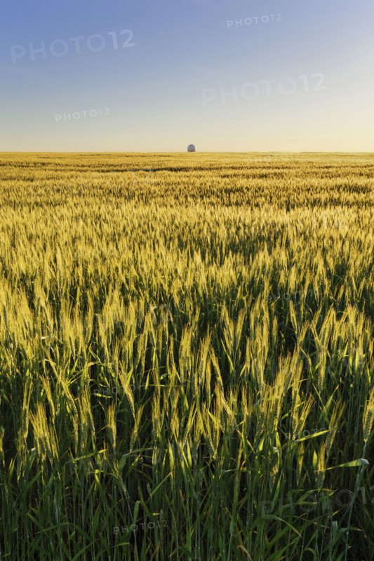 Ukraine, Dnepropetrovsk region, Dnepropetrovsk city, Clear sky over field