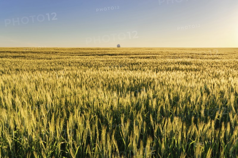 Ukraine, Dnepropetrovsk region, Dnepropetrovsk city, Clear sky over field