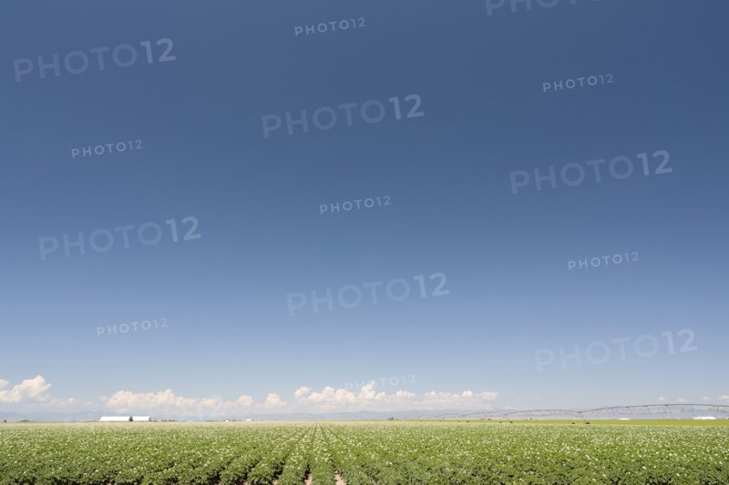 USA, Colorado, San Luis Valley, Blue sky over green field