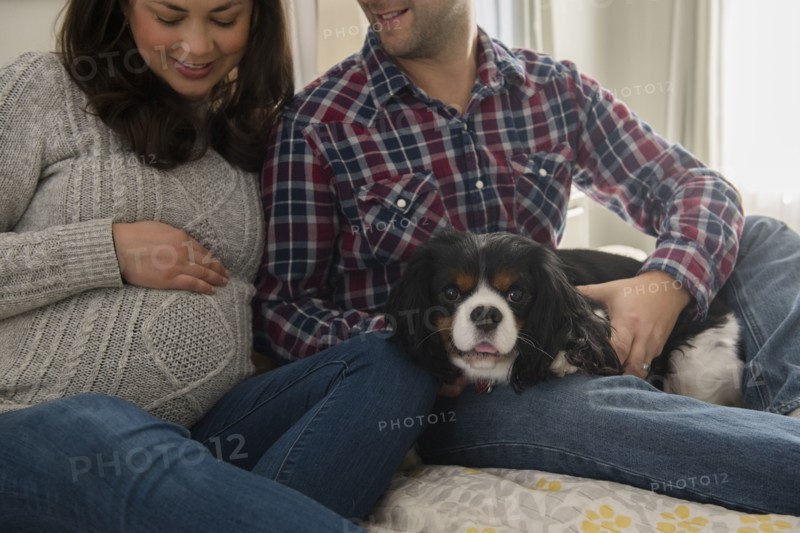 Mid adult couple sitting on sofa with puppy